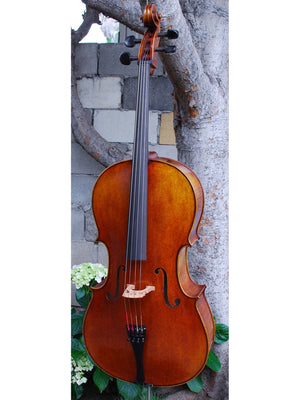 Johannes Seibert Model 400 'Stradivari' 7/8 Cello