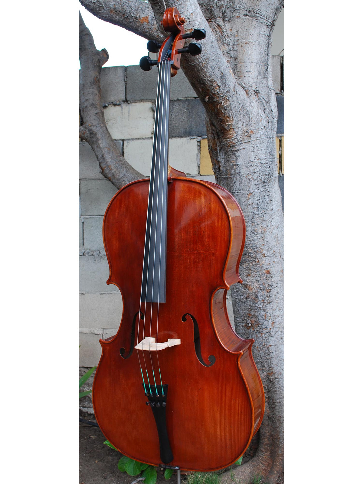 Andrzej Glodek Master 7/8 Cello
