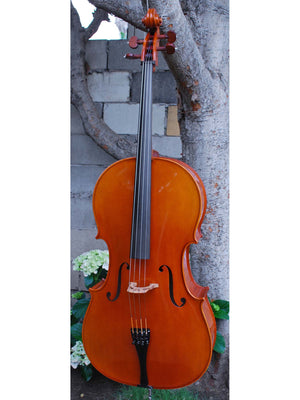 Helmut Illner model V 4/4 Cello 2004