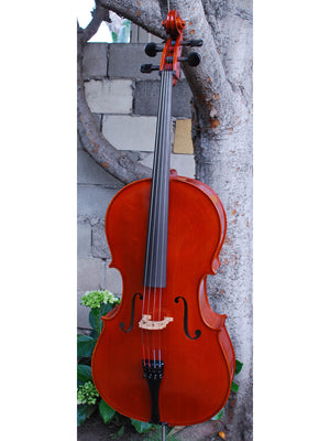 Johannes Seibert Model 250 'Stradivari' 7/8 Cello