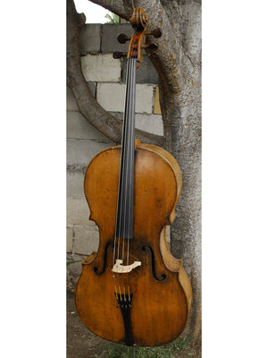 Old Cello labeled 'Ferdinandus Gagliano 1761' - 4/4 Cello