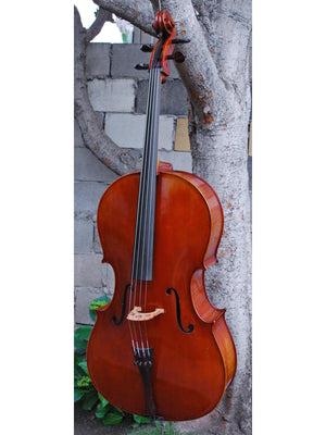 Dimbath/Gill Master Soloist model X7 'Ruggeri' Cello