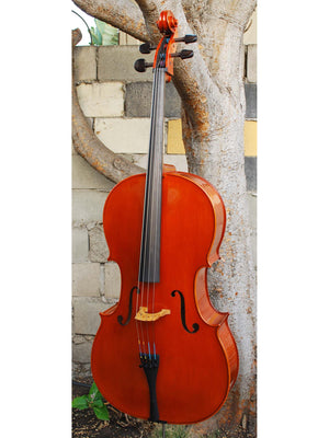 Angel Taylor model 120 4/4 Cello