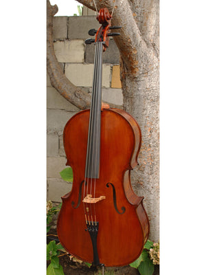 Herman Schaller 'Gofriller' 1/2 Cello