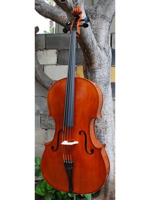 Calin Wultur Model #4 7/8 Cello