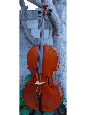 Calin Wultur #7 "Deluxe" Montagnana Birdseye Maple 4/4 Cello