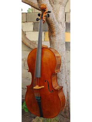 Vivo Special Eurowoods 4/4 Cello