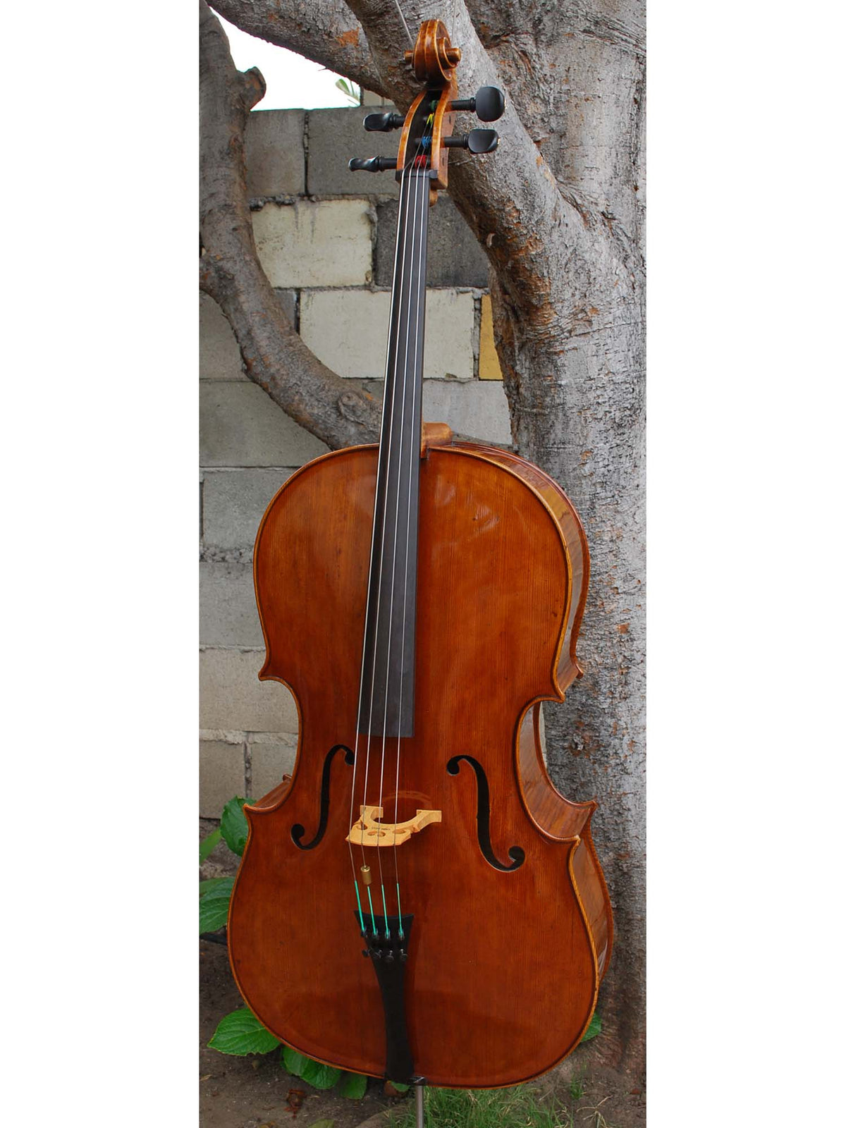 Wojciech Topa Master 4/4 Cello