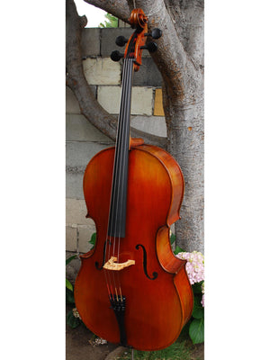 Vivo Limited 7/8 Cello