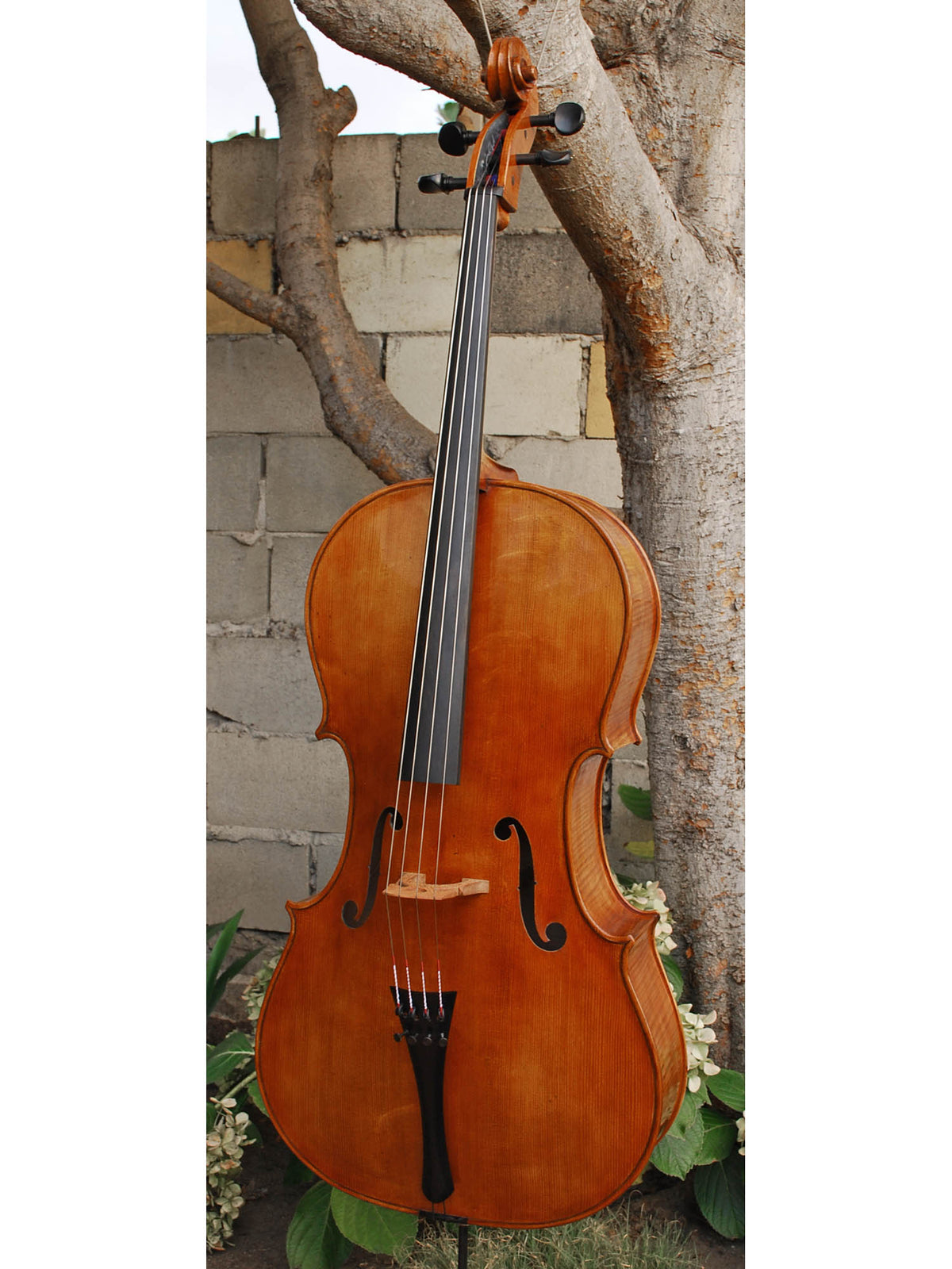 Andrzej Glodek 'Amati' Master 4/4 Cello