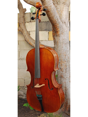 Vivo model 20EG Guadagnini 1777 Replica 4/4 Cello