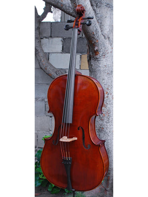 Rudoulf Doetsch model 701 7/8 Cello (B)