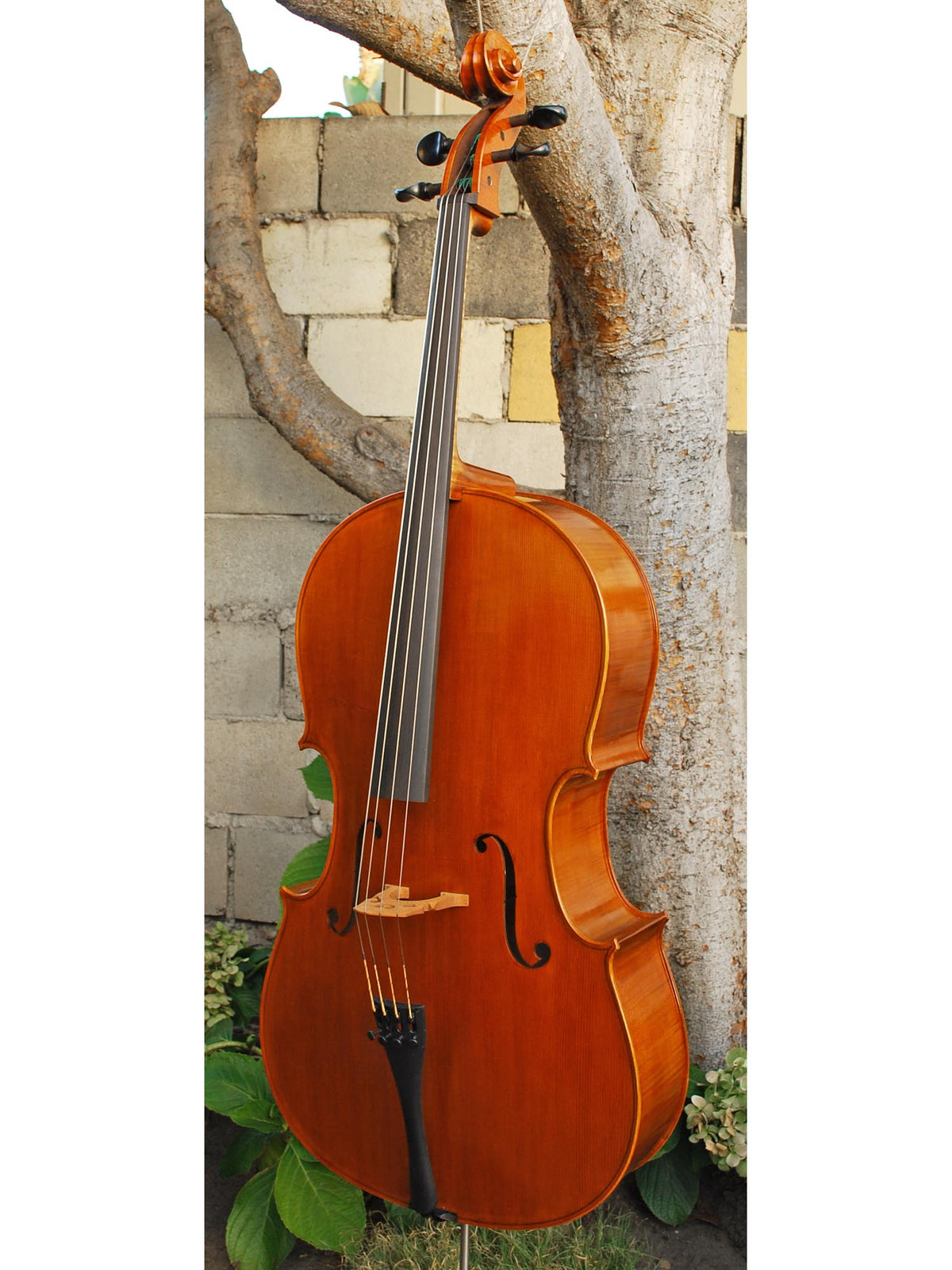 Calin Wultur #6 Montagnana 4/4 Cello