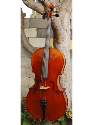 Angel Taylor model 320 7/8 Cello