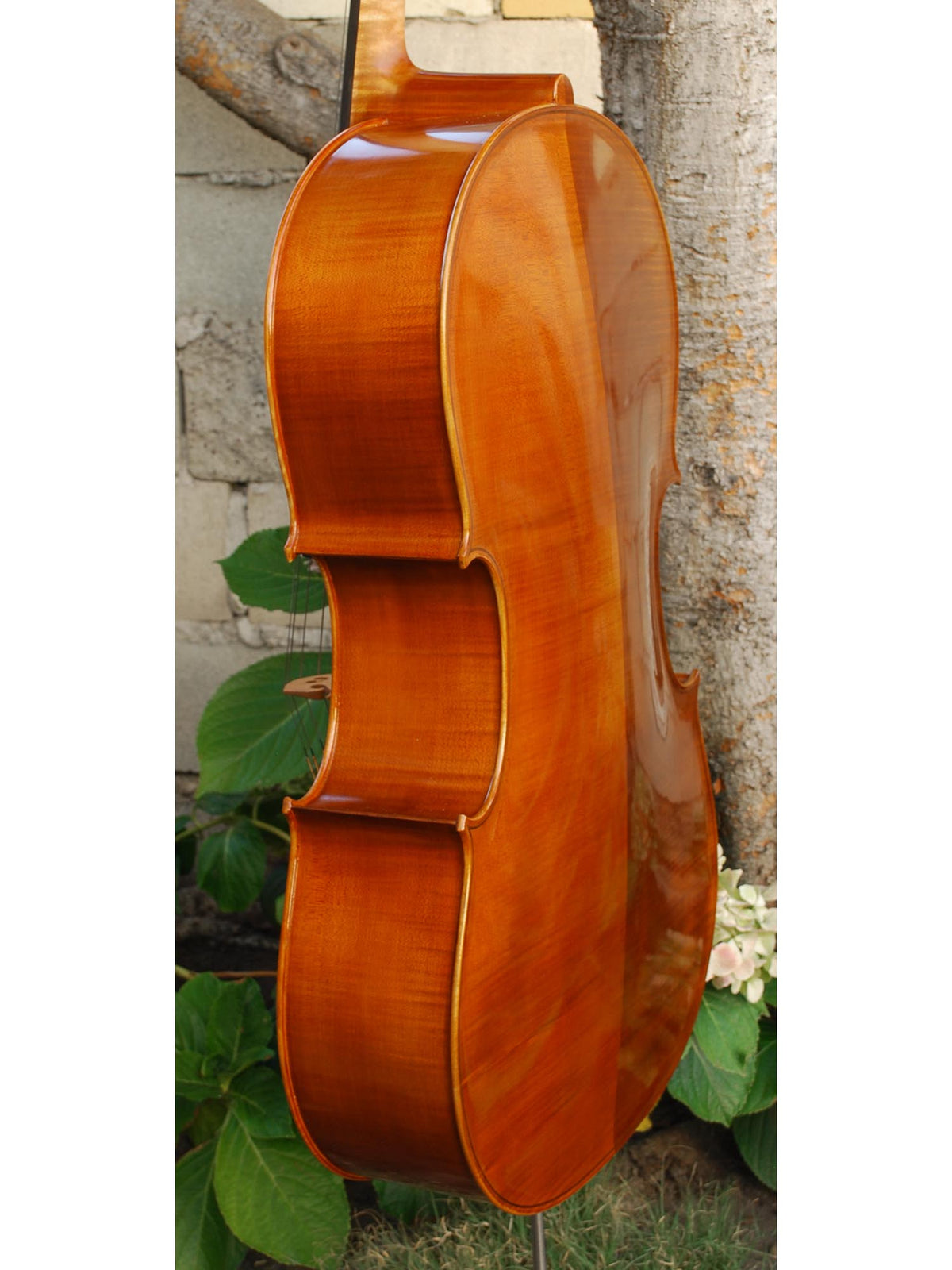 Calin Wultur #6 Montagnana 4/4 Cello