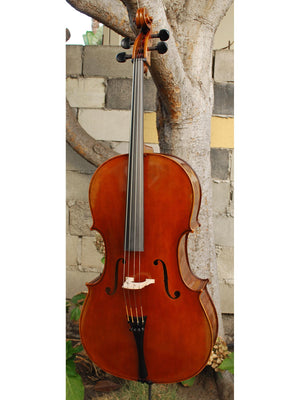 C. Callegari 'Gofriller 1693' Master Copy 4/4 Cello