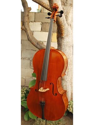 Calin Wultur model #6 'Guarneri' 4/4 Cello