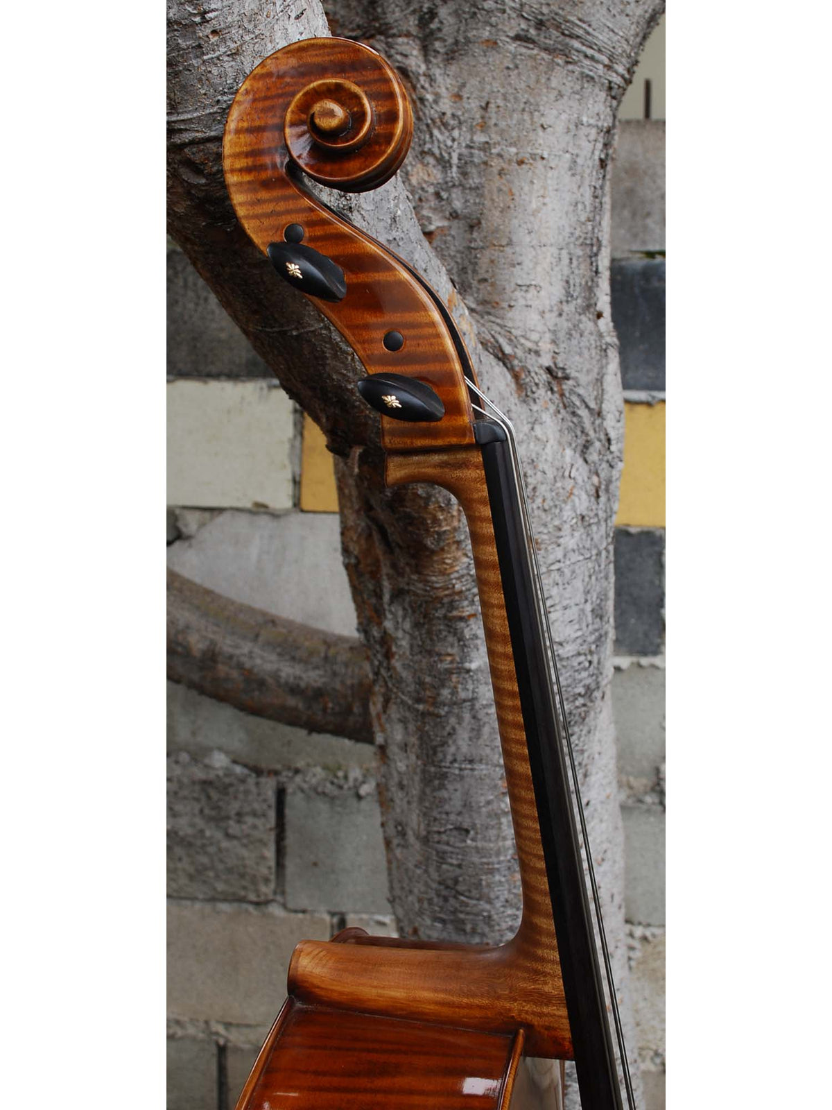 Wojciech Topa Master 4/4 Cello