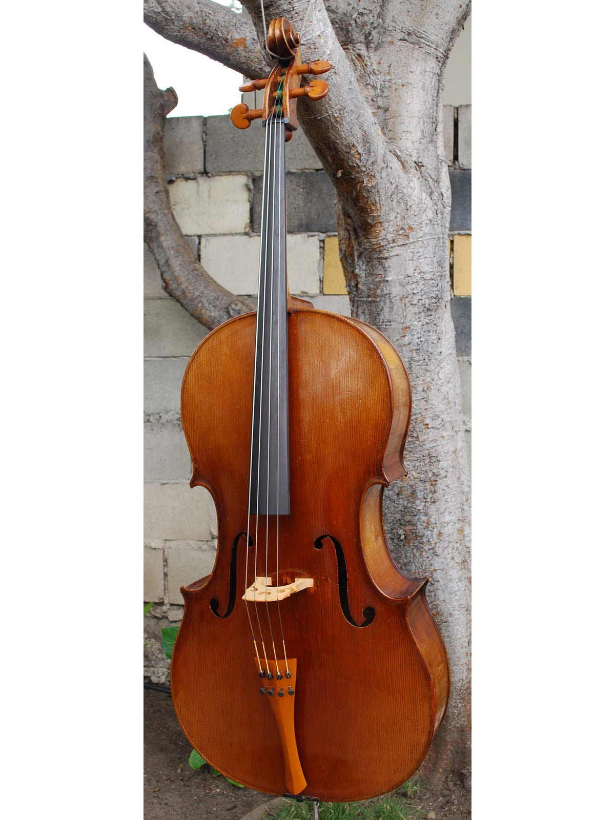 Otto Schönfelder 'Stradivari' 4/4 Cello
