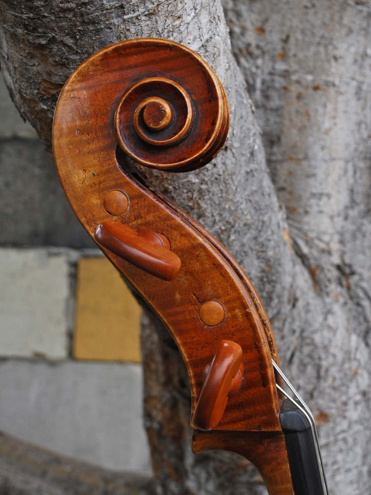 Otto Schönfelder 'Stradivari' 4/4 Cello