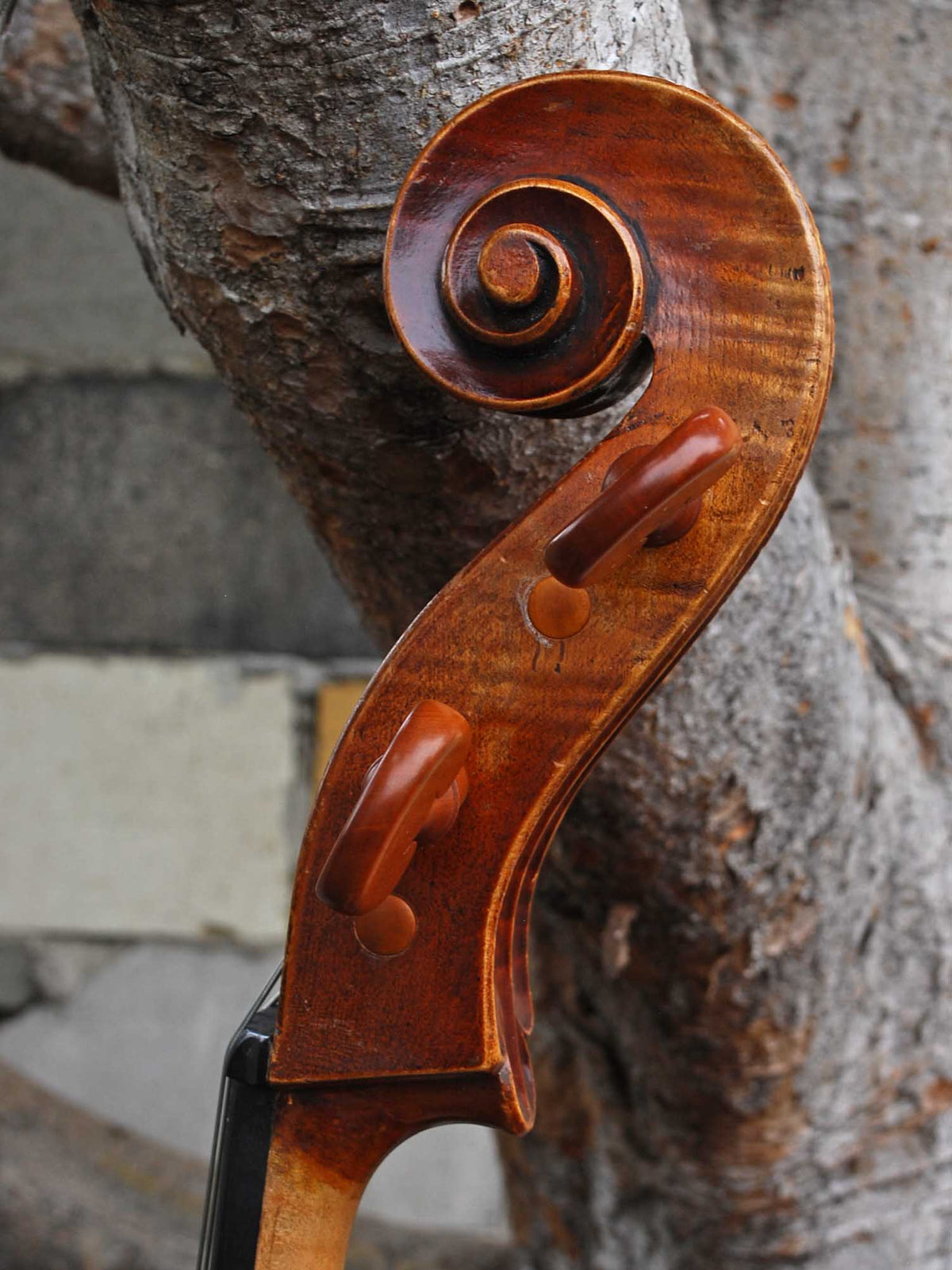 Otto Schönfelder 'Stradivari' 4/4 Cello