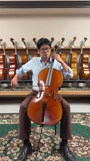 Bieg Company Geigenbau 'Stradivari' model 5 - 4/4 Cello
