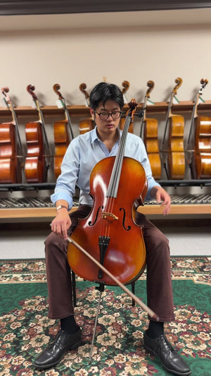 Vivo Limited 7/8 Cello