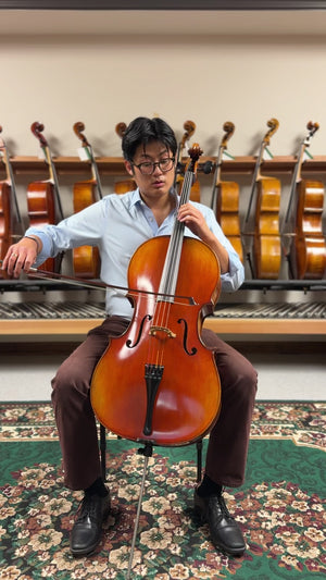 Vivo Limited 7/8 Cello
