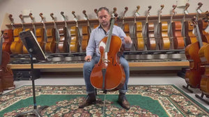 Vivo model 400 Strad 4/4 Cello (A)