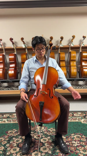 Vivo Limited 7/8 Cello