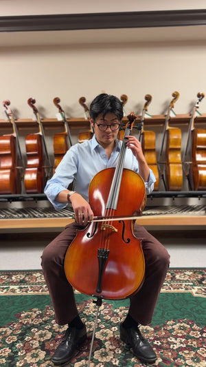 Vivo Limited 7/8 Cello