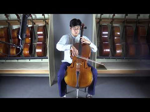 Lothar Semmlinger Cello 4/4 Cello