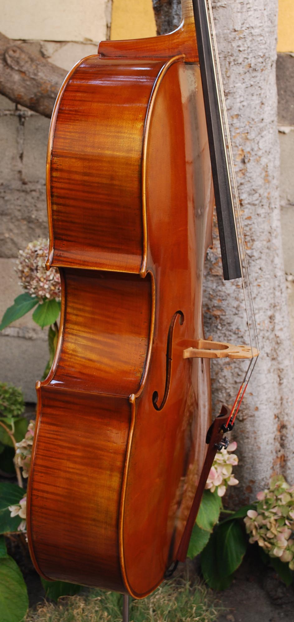 Salvatore Callegari 'Montagnana 1739 Sleeping Beauty' 4/4 Cello