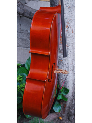 Johannes Seibert Model 250 'Stradivari' 7/8 Cello