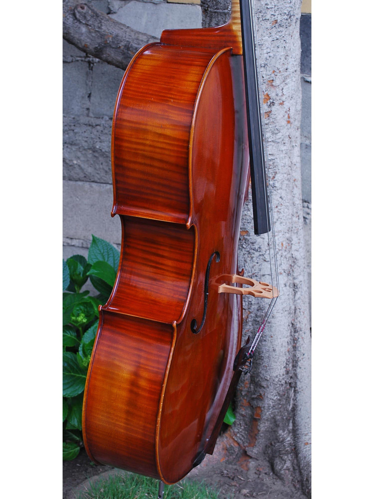 Dimbath/Gill Master Soloist model X7 'Ruggeri' Cello