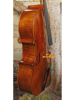 Vivo Special Eurowoods 4/4 Cello