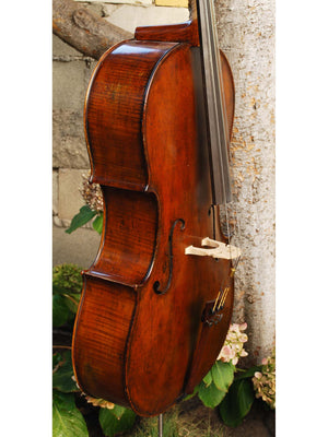 Johann Edler 'Testori' 3/4 Cello