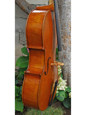 Pietro Lombardi Model 502, 4/4 Cello - Used