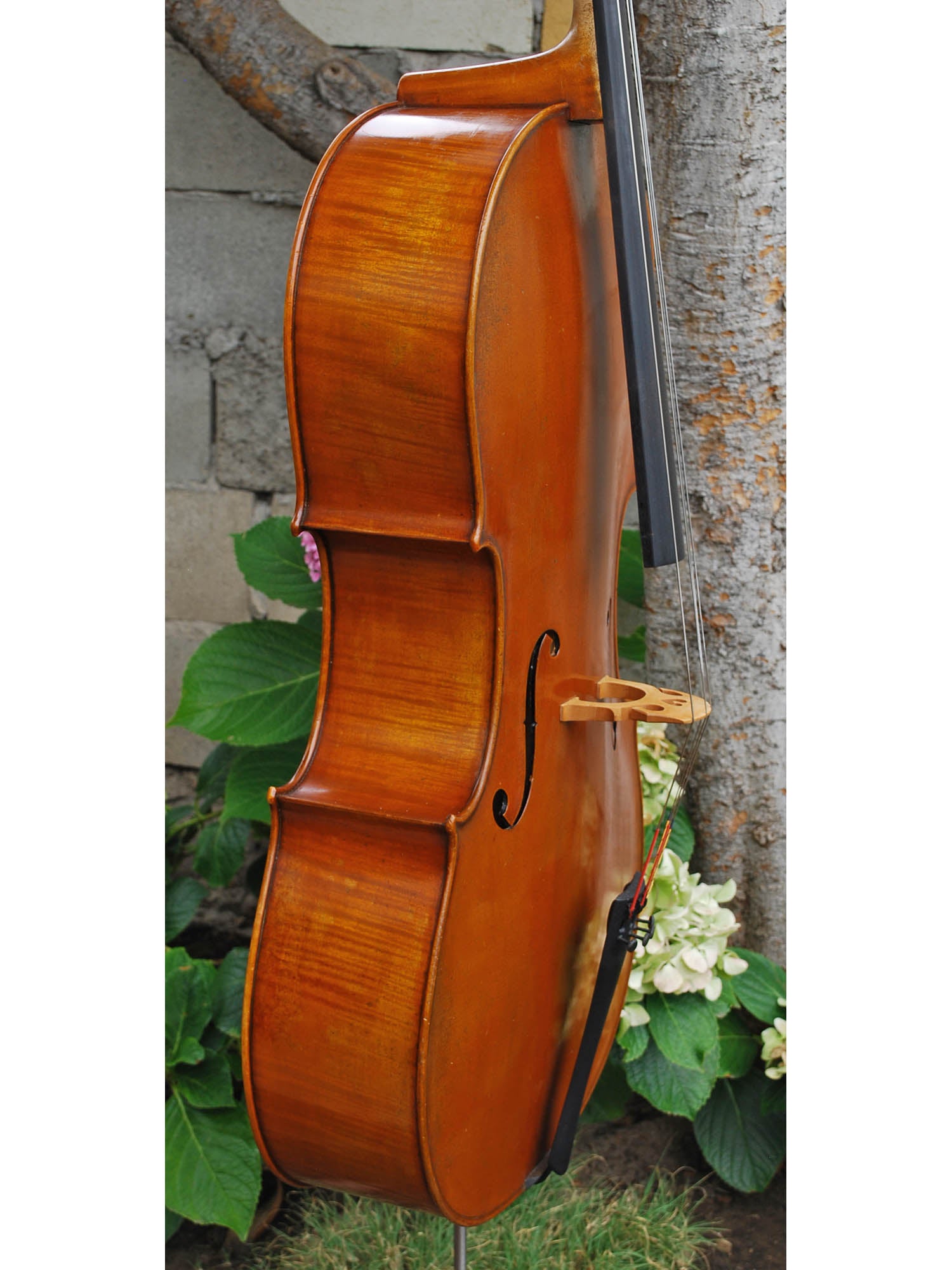 Used) St. Louis 4/4 Cello Kit W/ Bow and Bag