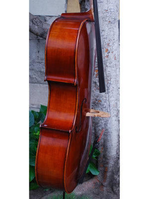 Rudoulf Doetsch model 701 7/8 Cello (B)