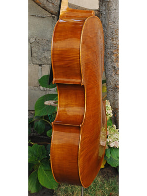 Tadeusz Slipek Master 'Jacobs' 4/4 Cello