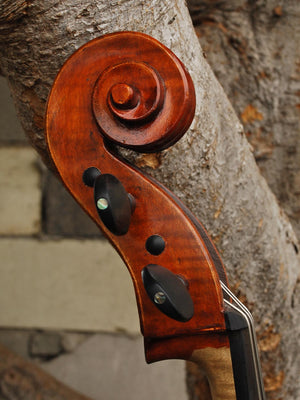 Herman Schaller 'Gofriller' 1/2 Cello