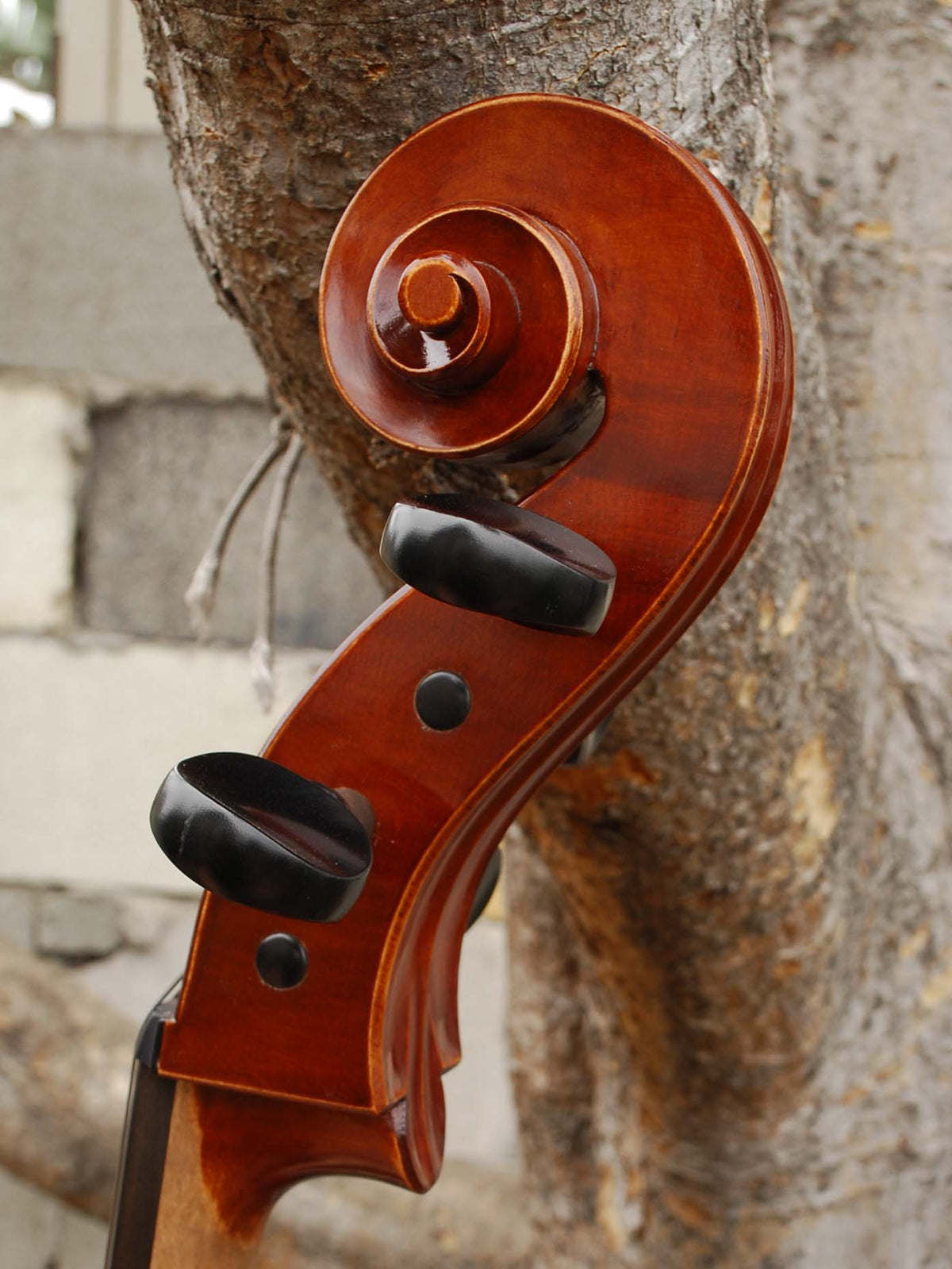 Viktor Resca #5 (Romania) - 7/8 Cello