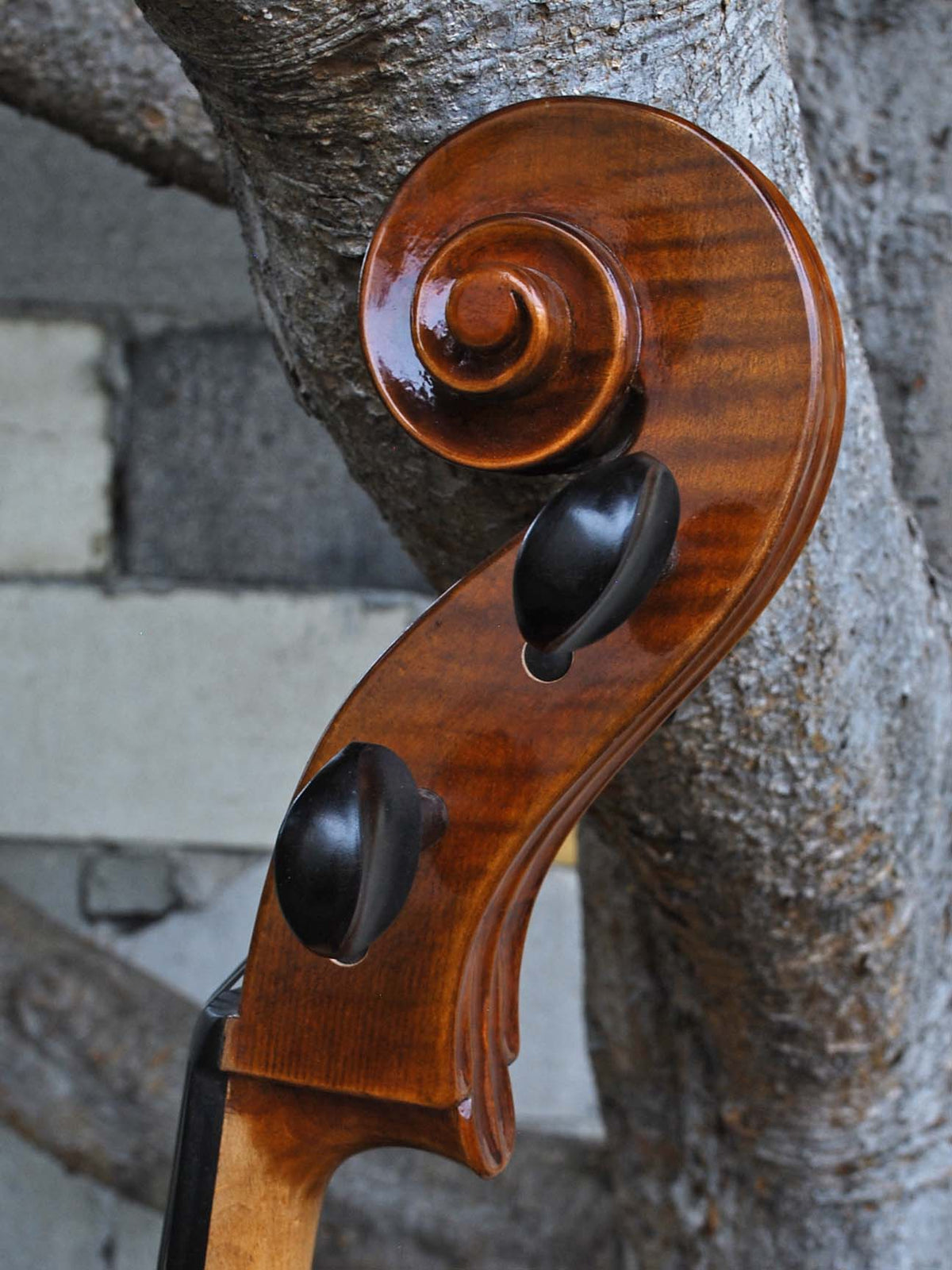 Vivo Gofriller Replica 4/4 Cello