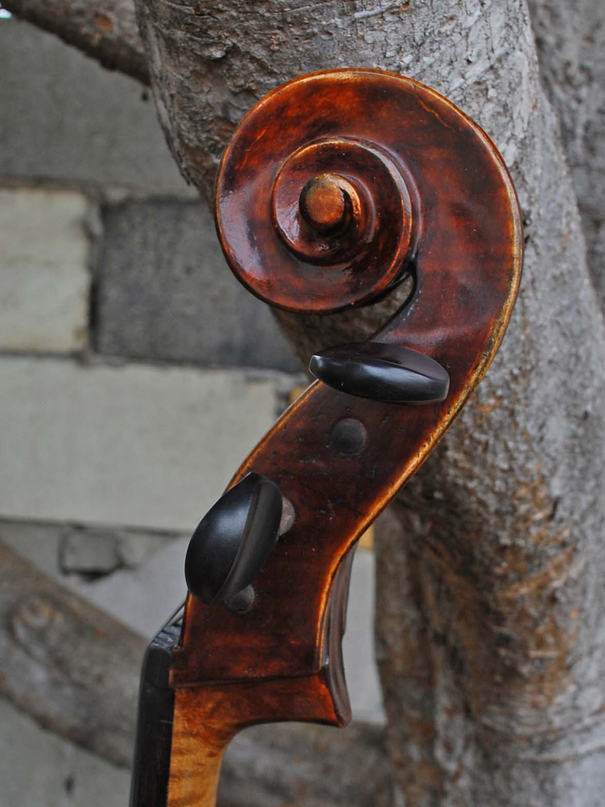 Michael Gerlach 3/4 Cello (182)