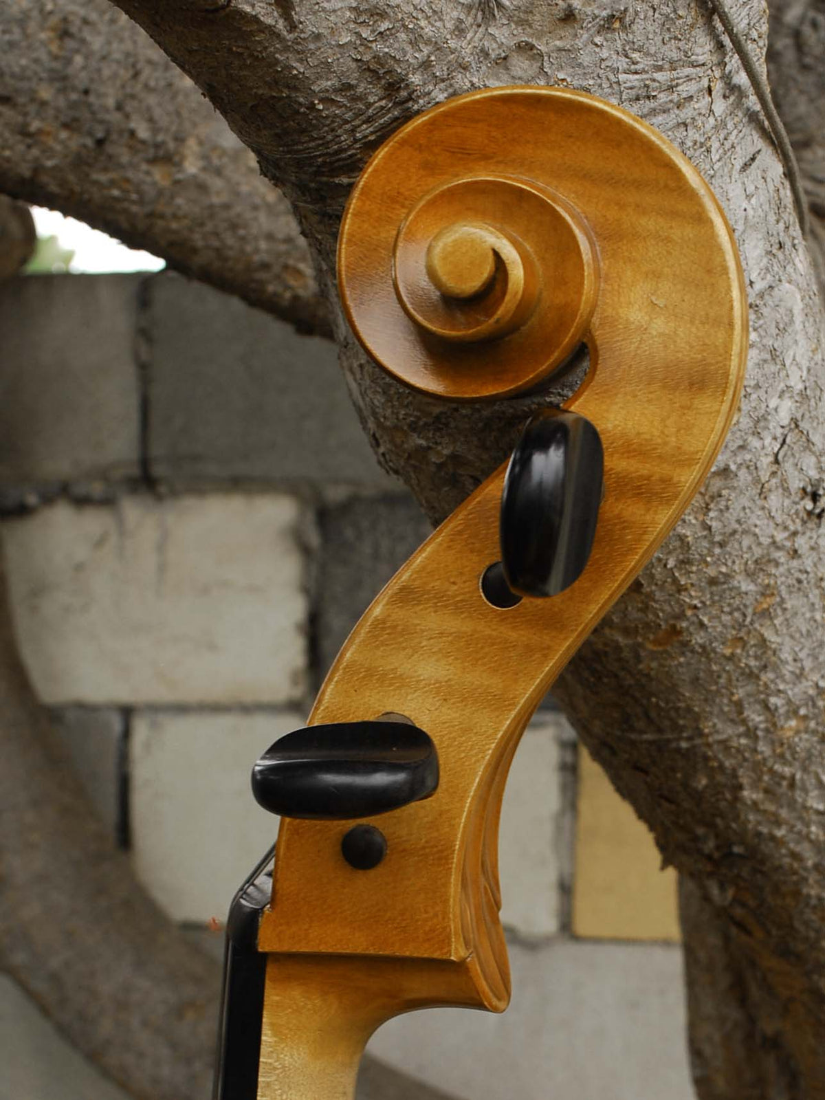 Emanuel Wilfer Master 'Stradivari' 4/4 Cello