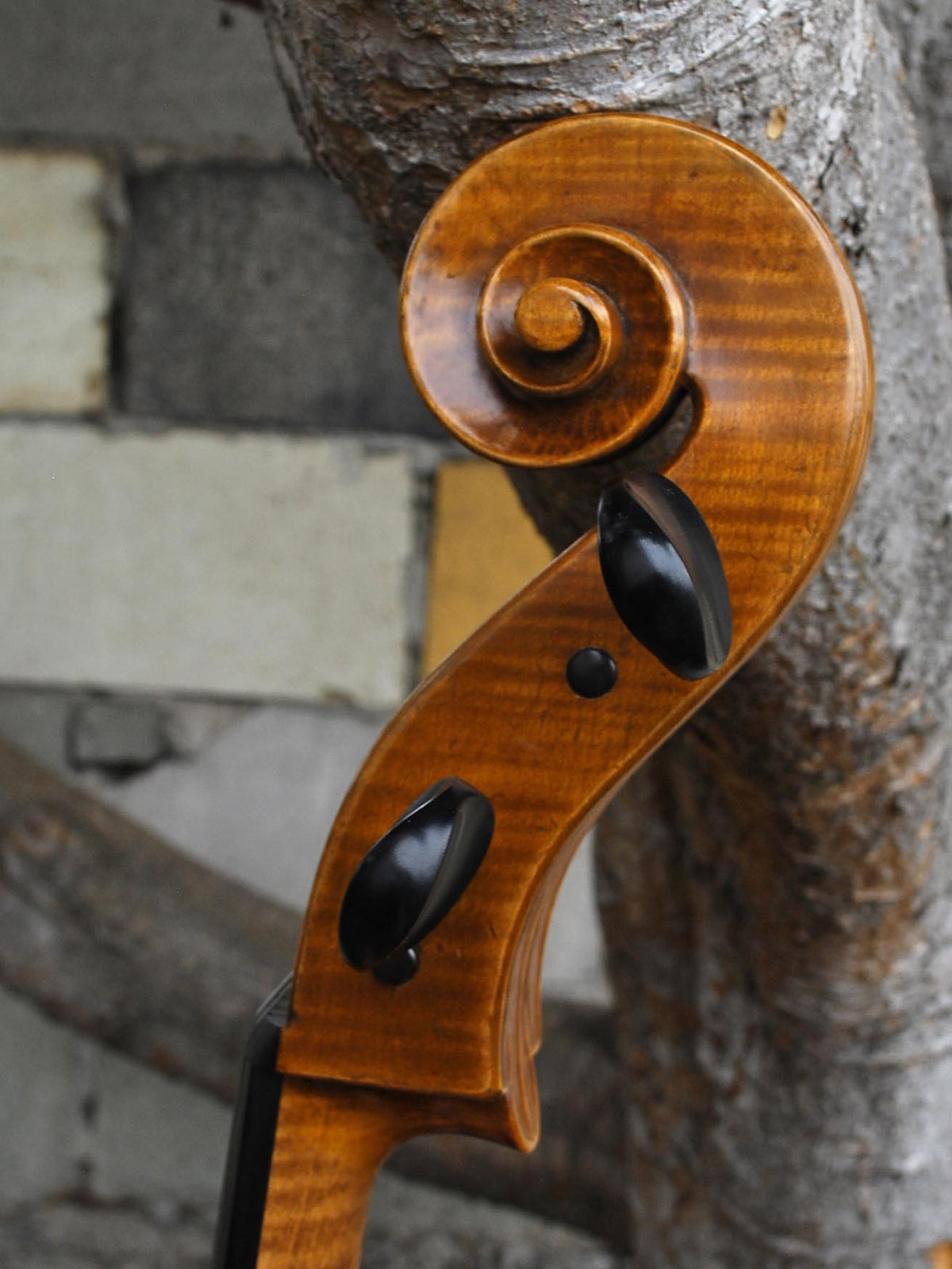 Jan Szlachtowski Master Level 'Gofriller' 4/4 Cello