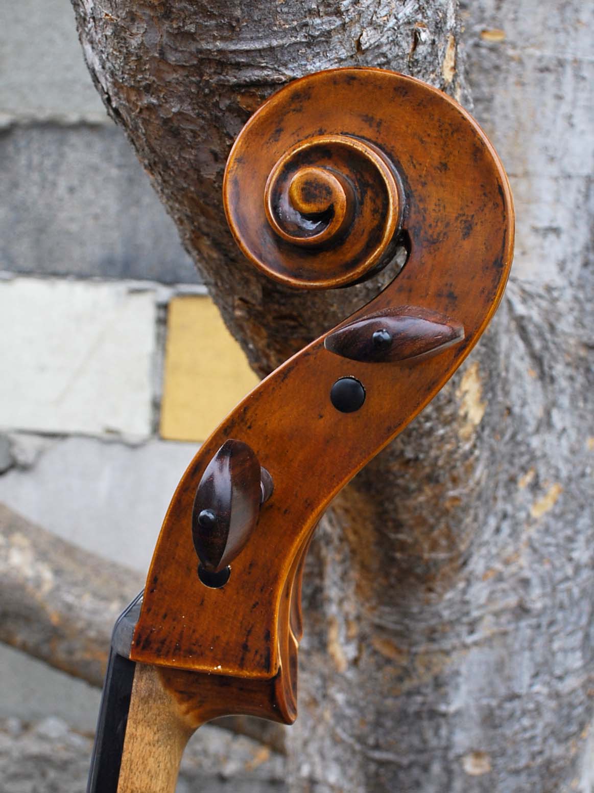 Nicholas Baciu #5 "Tiki Bob" (Romania) - 7/8 Cello