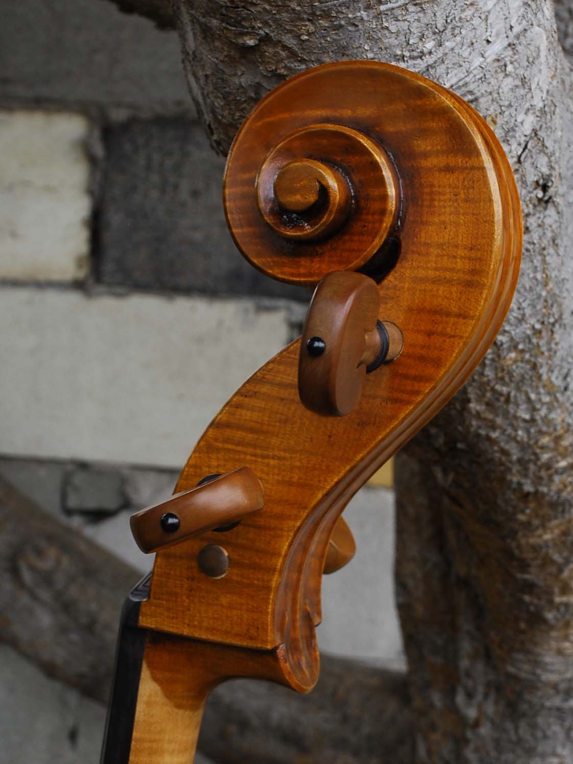 Pietro Lombardi model 502 - 7/8 Cello