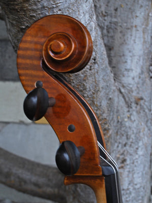 Vivo Gofriller Replica 4/4 Cello